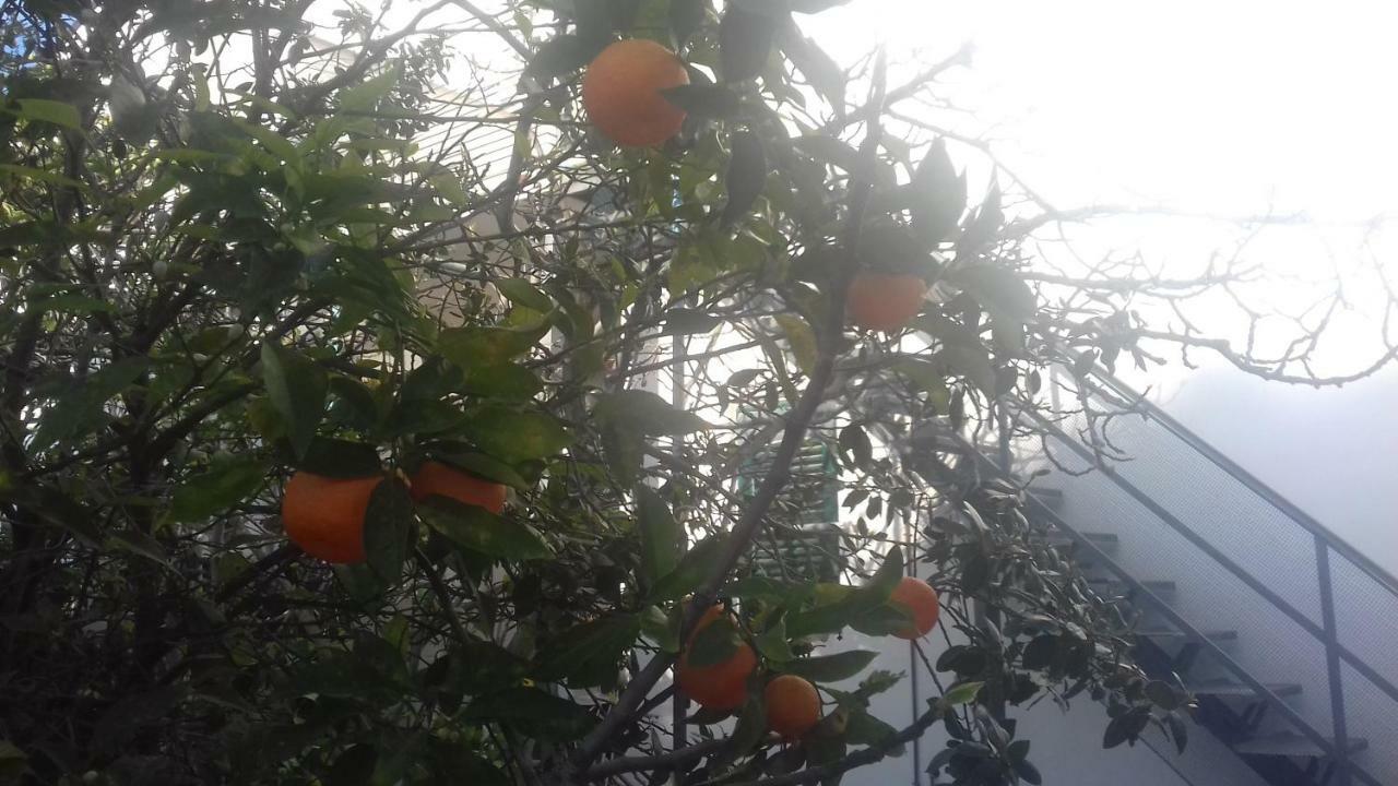 הוילה מונדלו Principessa Jolanda מראה חיצוני תמונה